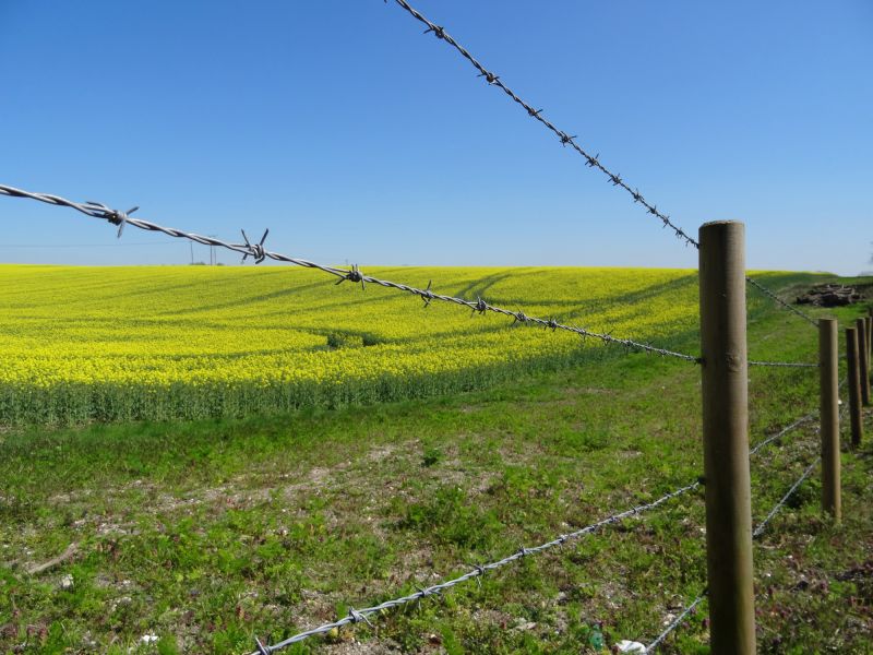 Barbed Wire Fence Installation detail